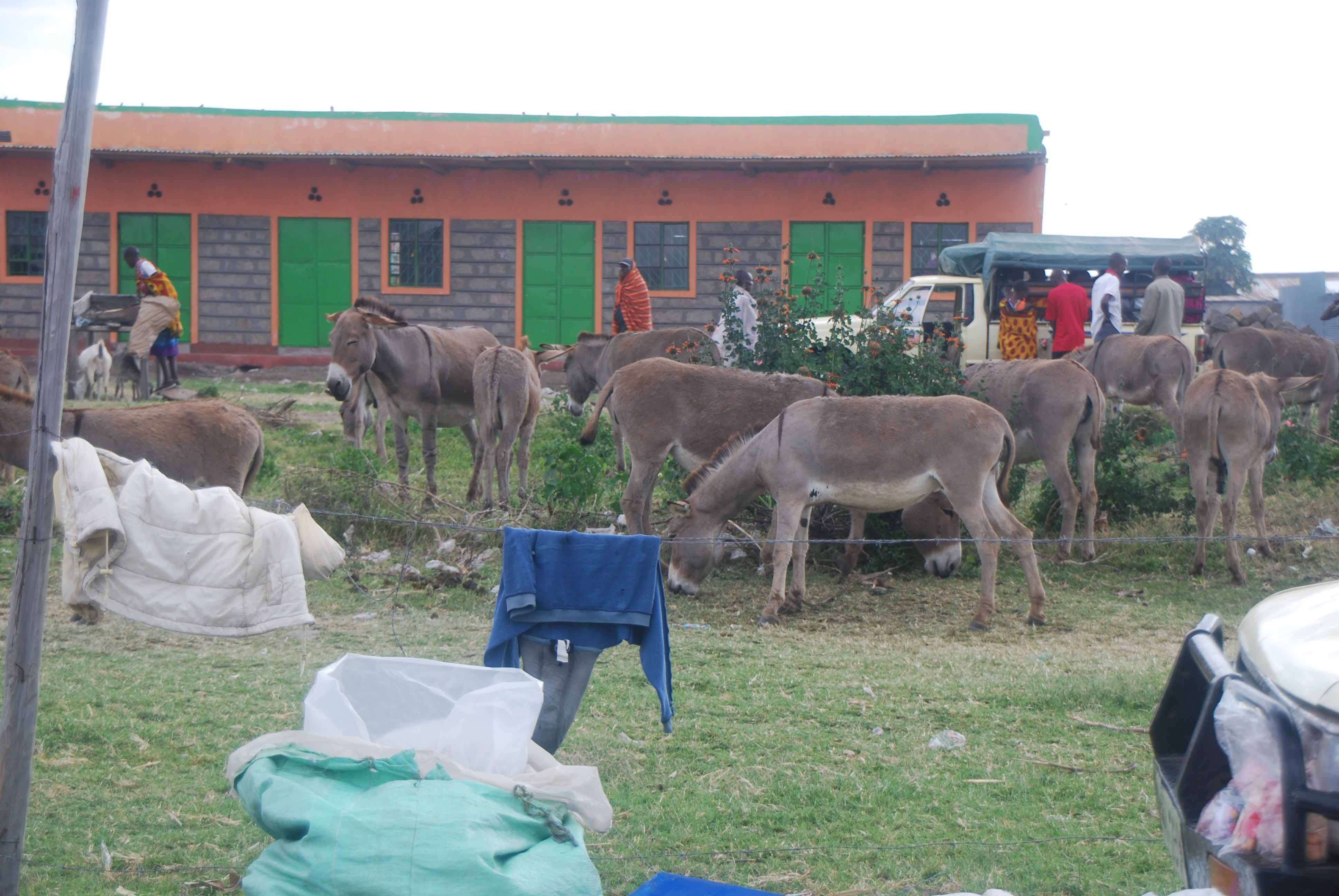 Regreso al Mara - Kenia - Blogs de Kenia - El mercado masai, un intento fallido de ver el cruce y algunas mariposas (23)